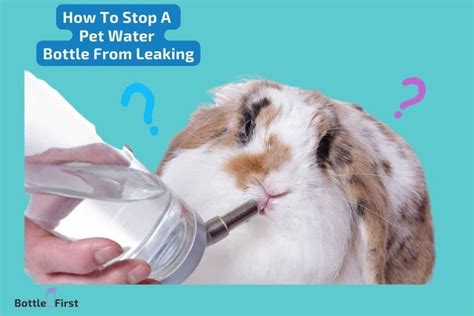 small animal water bottle leaking|Why does every water bottle I buy start leaking after。